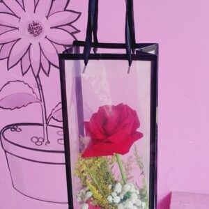 buque1rosapremium